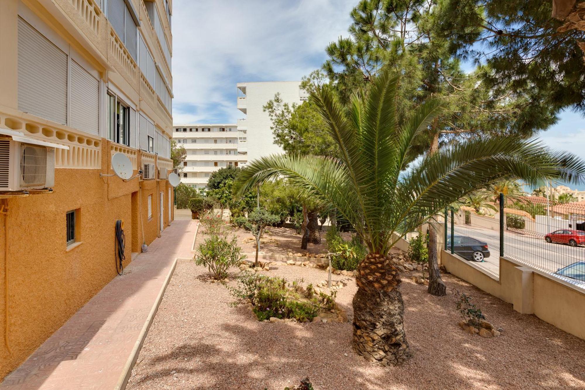 Estudio La Mata Torrevieja Dış mekan fotoğraf